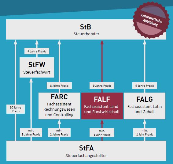 Grafische Darstellung der Berufe Steuerfachangestellte, Steuerfachwirt sowie der Fachassistenten FARC, FALG und FALF.