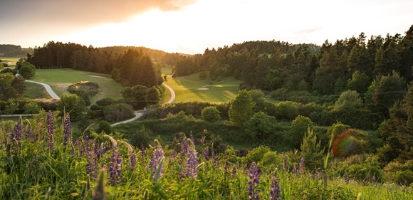 GC Lauterhofen Platz 580x281