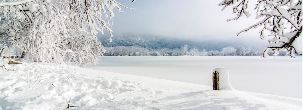 Alle Jahre wieder...