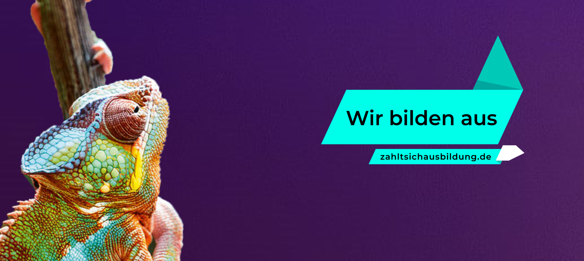 Für Kanzleien